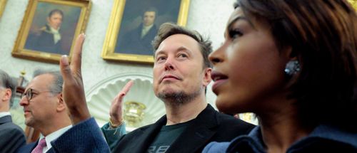 The Daily Caller
