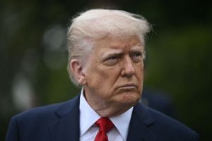 The Daily Wire