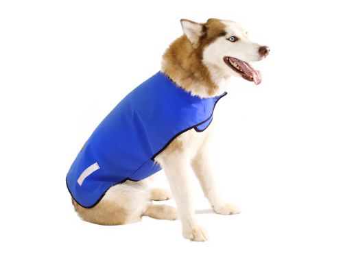 Insulated Dog Jacket