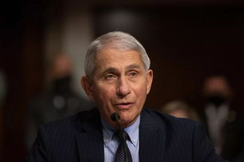 Washington Examiner