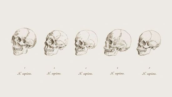 example