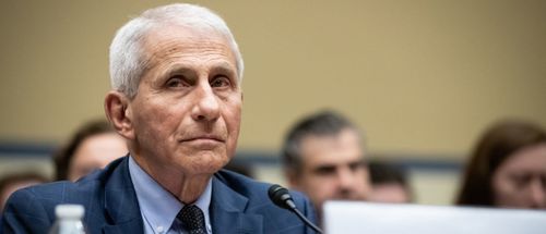 The Daily Caller