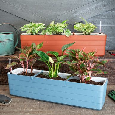 Self-Watering Window Planters - 23” Long