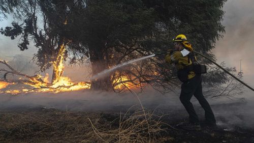 News Article Image