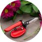 Spring Gardening Essentials