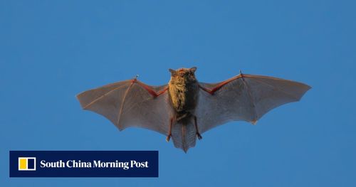 South China Morning Post