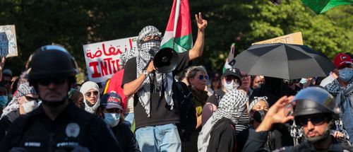 The Daily Caller