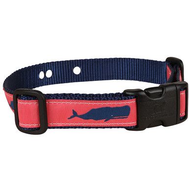 Moby Whale Underground Fence Dog Coral Collar