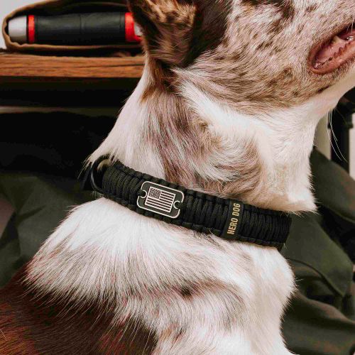 HERO DOG Heavy Duty Paracord Collar